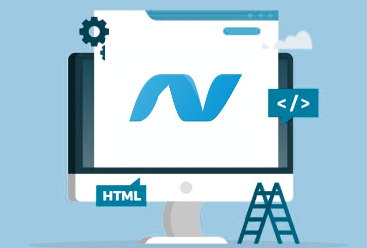 .NET Developer