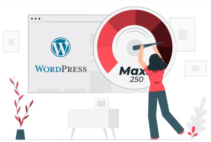 WordPress Plugins