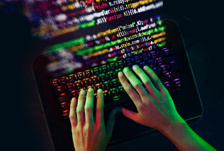 Vue.js MVP development